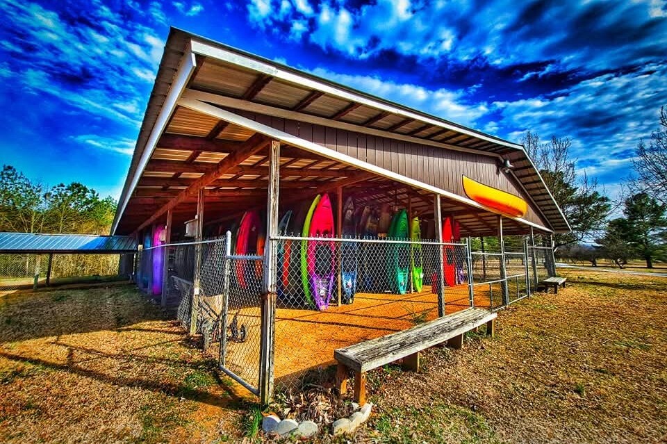 Sweet home Alabama
Where the skies are so blue